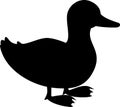 Black silhouette of cartoon mallard Anas platyrhynchos